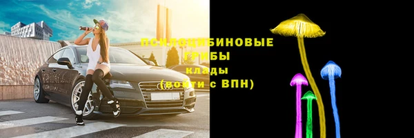 альфа пвп Медвежьегорск
